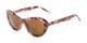 Angle of The Flossie Bifocal Reading Sunglasses in Purple Tortoise with Amber, Women's Cat Eye Reading Sunglasses