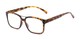 Angle of The Geoff in Tortoise, Women's and Men's Rectangle Reading Glasses
