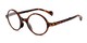 Angle of The Hance Folding Reader in Tortoise, Women's and Men's Round Reading Glasses