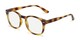 Angle of The Harley Computer Reader in Tortoise with Light Yellow, Women's and Men's Retro Square Reading Glasses