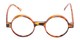Front of The Harry in Tortoise
