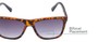 Detail of The Henry Bifocal Reading Sunglasses in Tortoise/Black with Smoke