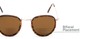 Detail of The Hitch Bifocal Reading Sunglasses in Tortoise/Gold with Amber