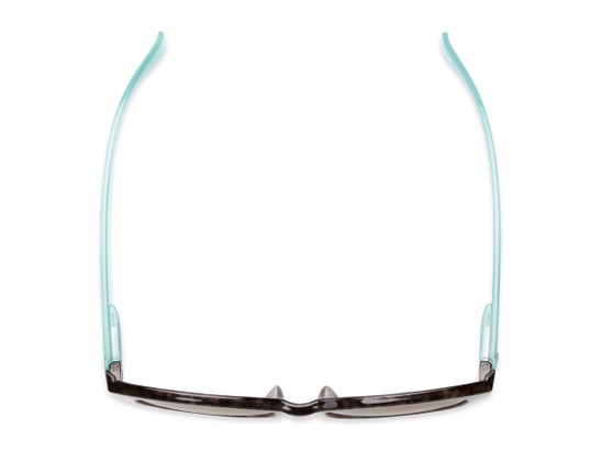Overhead of The Isla Reading Sunglasses in Tortoise/Teal with Amber
