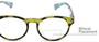 Detail of The Ivy League Bifocal in Green Tortoise/Blue