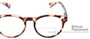 Detail of The Ivy League Bifocal in Brown Tortoise