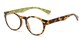 Angle of The Ivy League Bifocal in Brown Tortoise/Green, Women's and Men's Round Reading Glasses