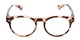 Front of The Ivy League Bifocal in Brown Tortoise