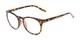 Angle of The James in Dark Tortoise, Women's and Men's Round Reading Glasses