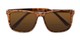 Folded of The Kearney Bifocal Reading Sunglasses in Glossy Tortoise with Amber
