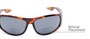 Detail of The Lance Bifocal Reading Sunglasses in Tortoise with Smoke