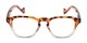 Front of The Landis in Tortoise/Clear