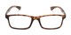 Front of The Leaf in Brown Tortoise