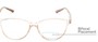 Detail of The Lenora Bifocal in Clear Brown/Tortoise