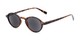Angle of The Loft Reading Sunglasses in Tortoise with Smoke, Women's and Men's Round Reading Sunglasses