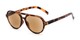 Angle of The March Reading Sunglasses in Matte Tortoise with Amber, Women's and Men's Aviator Reading Sunglasses