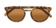 Folded of The Moby Bifocal Reading Sunglasses in Tortoise with Amber
