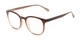 Angle of The Norwich Bifocal in Brown Fade, Women's and Men's Round Reading Glasses