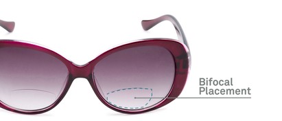 Detail of The Olive Bifocal Reading Sunglasses in Purple with Smoke