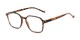 Angle of The Ollie in Tortoise, Women's and Men's Square Reading Glasses