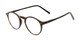 Angle of The Ormand in Brown Tortoise/Matte Black, Women's and Men's Round Reading Glasses