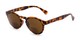 Angle of The Ortiz Bifocal Reading Sunglasses in Tortoise with Amber, Women's and Men's Round Reading Sunglasses