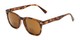 Angle of The Patio Bifocal Reading Sunglasses in Tortoise, Women's and Men's Retro Square Reading Sunglasses