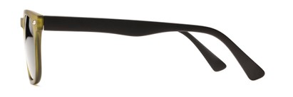 Side of The Patio Bifocal Reading Sunglasses in Green/Black