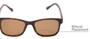 Detail of The Peace Polarized Magnetic Bifocal Reading Sunglasses in Tortoise with Amber