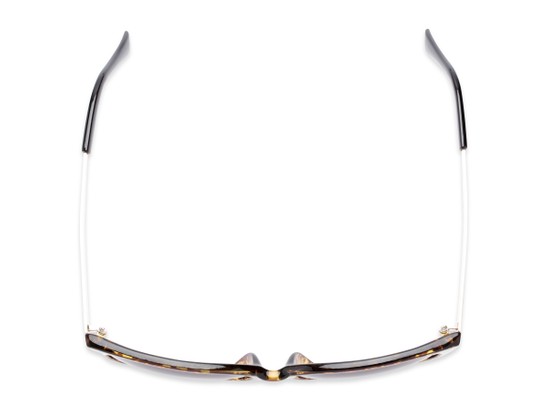 Overhead of The Penelope Bifocal Reading Sunglasses in Leopard/Gold with Smoke