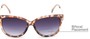 Detail of The Penelope Bifocal Reading Sunglasses in Leopard/Gold with Smoke