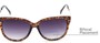 Detail of The Penelope Bifocal Reading Sunglasses in Tortoise/Gold with Smoke