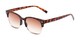 Angle of The Pepper Reading Sunglasses in Matte Tortoise/Gold with Amber, Women's and Men's Browline Reading Sunglasses