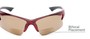 Detail of The Phoenix Bifocal Reading Sunglasses in Red with Amber
