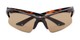 Folded of The Phoenix Bifocal Reading Sunglasses in Tortoise with Amber
