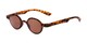 Angle of The Pine Reading Sunglasses in Tortoise with Amber, Women's and Men's Round Reading Sunglasses