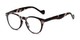 Angle of The Agnes in Clear/Light Blue Tortoise, Women's and Men's Round Reading Glasses