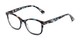 Angle of The Bonnie in Blue Multi Tortoise, Women's Square Reading Glasses