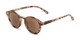Angle of The Bermuda Reading Sunglasses in Brown Tortoise with Amber, Women's and Men's Round Reading Glasses