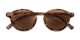 Folded of The Bermuda Reading Sunglasses in Brown Tortoise with Amber