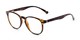 Angle of The Cole Computer Reader in Tortoise, Women's and Men's Retro Square Reading Glasses
