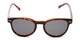 Front of The Cosmo Polarized Magnetic Bifocal Reading Sunglasses in Tortoise with Smoke