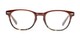 Front of The Highland Blue Light Reader in Brown/Tortoise