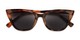 Folded of The Leandra Reading Sunglasses in Brown Tortoise with Smoke