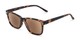 Angle of The Nantucket Reading Sunglasses in Matte Tortoise with Amber, Women's and Men's Retro Square Reading Sunglasses