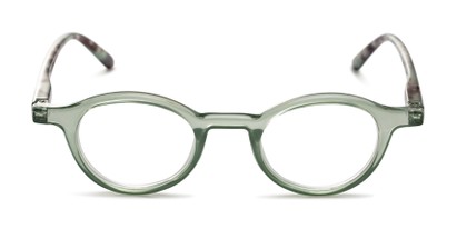 Front of The Newton in Light Green/Tortoise