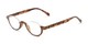 Angle of The Oliver in Brown Tortoise, Women's and Men's Round Reading Glasses