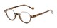 Angle of The Piccadilly in Brown Tortoise, Women's and Men's Round Reading Glasses