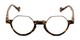 Front of The Piccadilly in Brown Tortoise