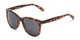 Angle of The Sarasota Bifocal Reading Sunglasses in Tortoise with Smoke, Women's Square Reading Sunglasses